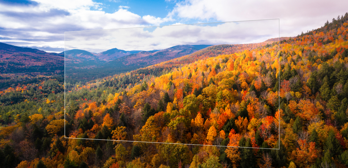 가을 단풍이 붉게 물든 산맥 풍경을 통해 Tandem OLED의 고휘도와 선명한 색 재현력을 표현한 화질 비교