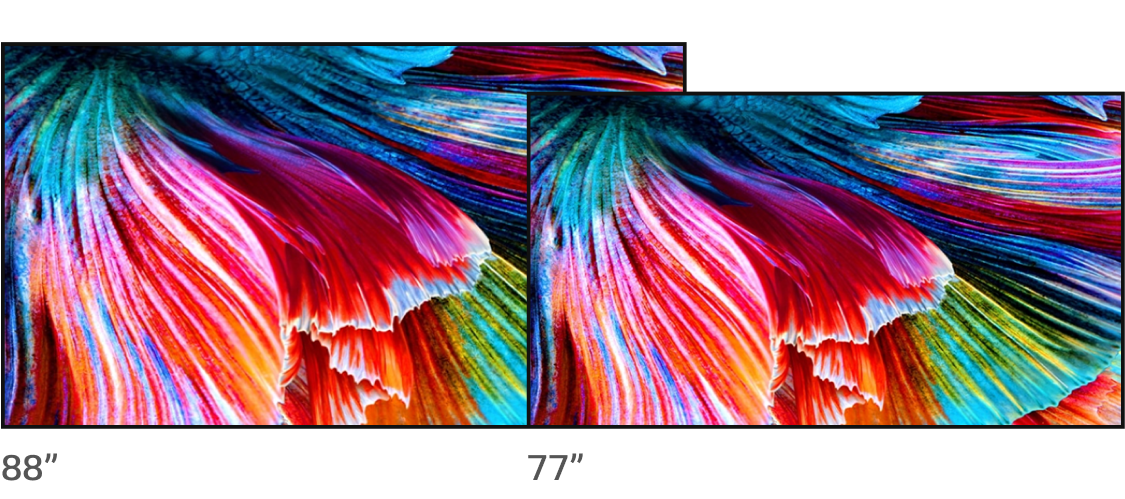 The pink and blue bloom is shown on OLED TVs of 88 and 77 inches.