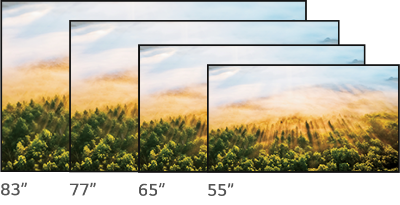 4K displays showing a tree forest set in autumn stretches 83 inches, 77 inches, 65 inches and 55 inches from left to right.