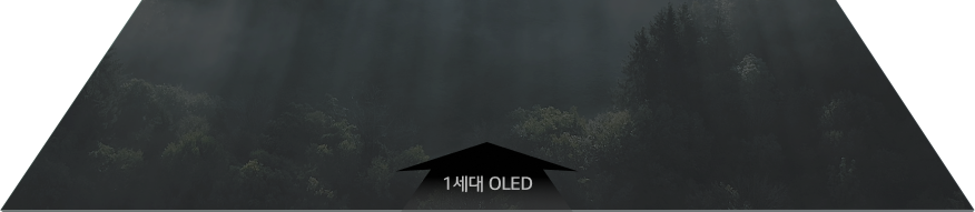 1세대 OLED 패널