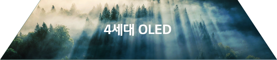 안개가 낀 숲 사이로 햇빛이 내려오는 풍경 이미지가 4세대 OLED 패널에  선명하게 보이고 있다.