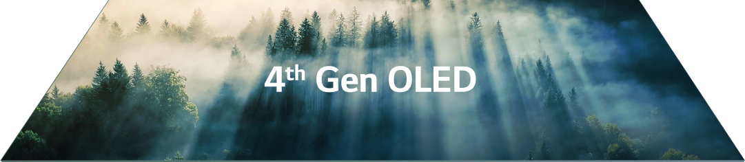 A landscape image of sunlight shining through a misty forest is clearly visible on a fourth-generation OLED panel.